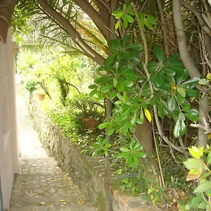 Holiday home Sunflower Cosy - Il Girasole, Monterosso al Mare